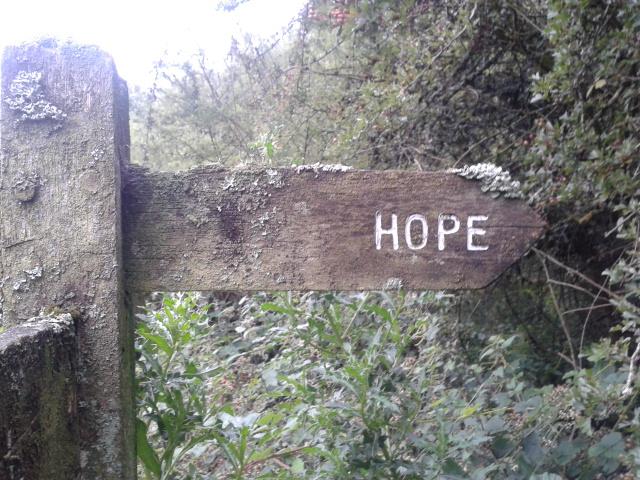 Wooden way marker showing the word 'Hope'.