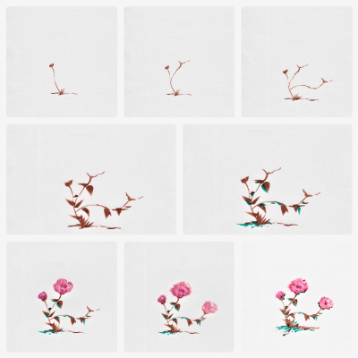 Step by step drawing of a flowering plant.