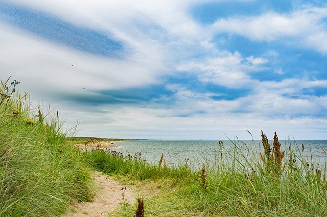 A view of grass bordered path running alongside the sea.