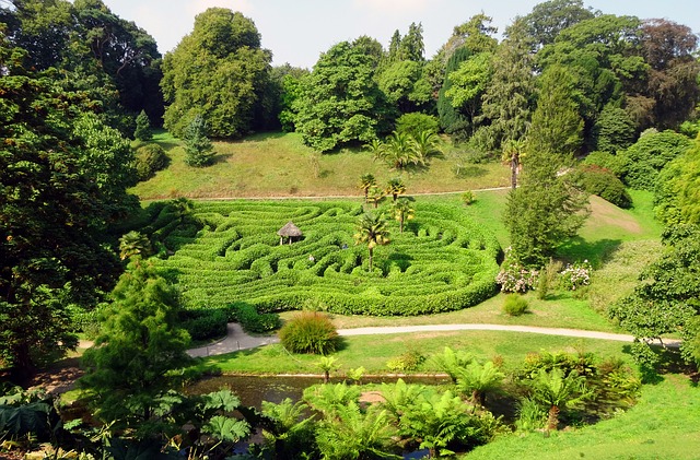 A maze made from hedging surrounded by fields and trees.