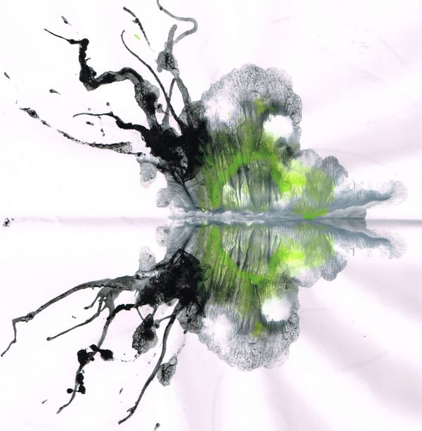 inkblotbug1 inkblotbug1